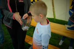 dscf3529.jpg