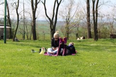 img_7526.jpg