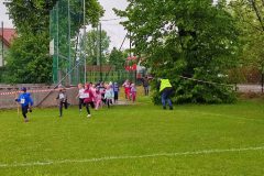 img_20240420_110203.jpg