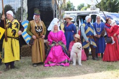 img_8062.jpg