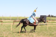 img_8603.jpg