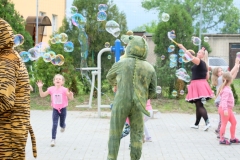 dscf9145.jpg