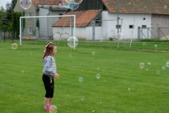 dscf8478.jpg