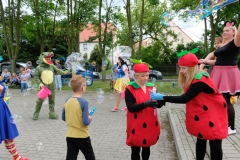 dscf8246.jpg