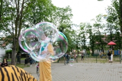 dscf8310.jpg