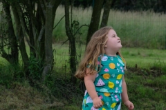 dscf9593.jpg