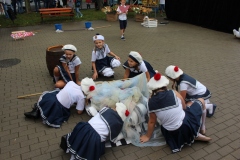 img_9786.jpg