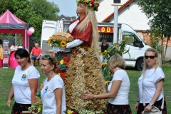 dsc_0234.jpg
