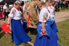 dscf7738.jpg