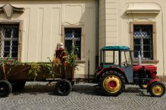 dscf7487.jpg