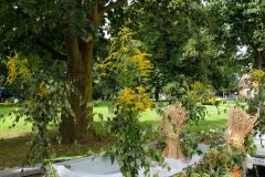 dscf7488.jpg