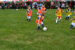 dscf4682.jpg