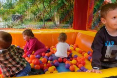 dscf4737.jpg