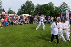 dscf4870.jpg
