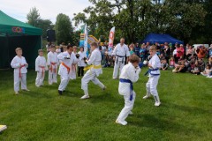 dscf4878.jpg