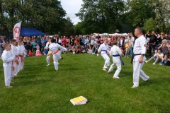 dscf4880.jpg