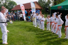 dscf4903.jpg