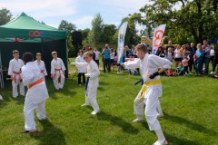 dscf4913.jpg