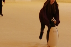 87041360_123963182376129_1871420205528252416_n.jpg