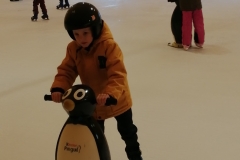 87087399_781218705723715_7758307036617506816_n.jpg