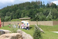img_7706.jpg