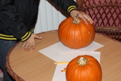 img_2343.jpg