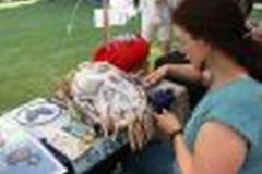 img_3377.jpg