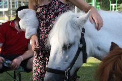 img_3509.jpg