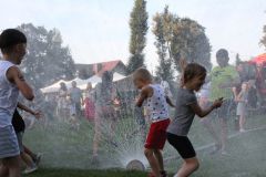 img_3913.jpg