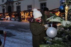img_5542.jpg