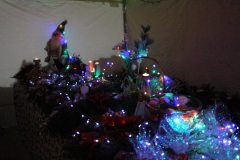 img_5667.jpg