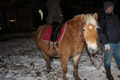 img_5808.jpg