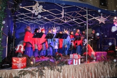 260-img_4518.jpg
