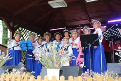 img_8144.jpg