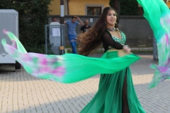 img_8194.jpg