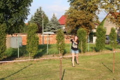 img_8293.jpg