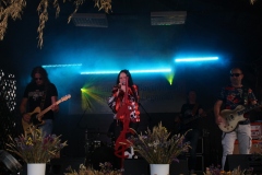 img_8446.jpg