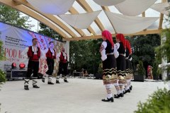 img_8097.jpg