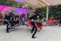 img_8207.jpg