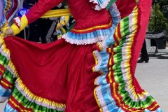 img_8209.jpg