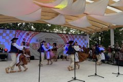 img_8322.jpg