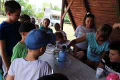 img_8655.jpg