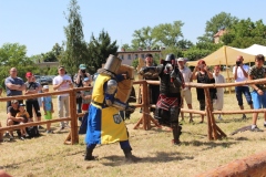 img_7965.jpg