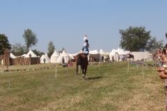 img_7982.jpg