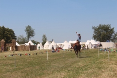 img_7983.jpg