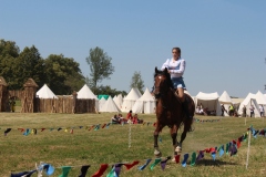 img_7987.jpg