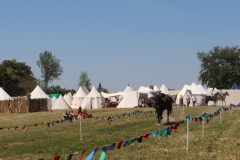 img_7988.jpg