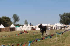 img_7989.jpg