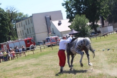 img_8013.jpg