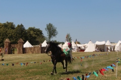 img_8022.jpg